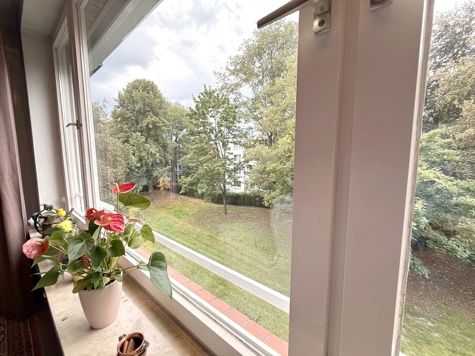 Aussicht Wohnzimmerfenster Aussicht Wohnzimmerfenster